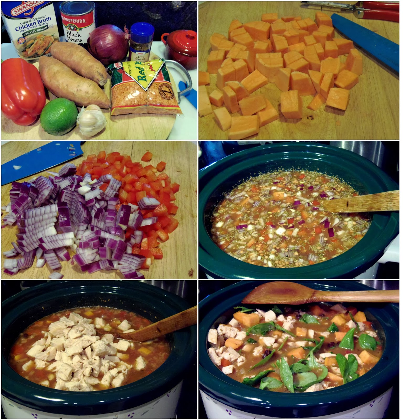 Slow Cooker Chicken and Sweet Potato Stew ⋆ Kudos Kitchen by Renee