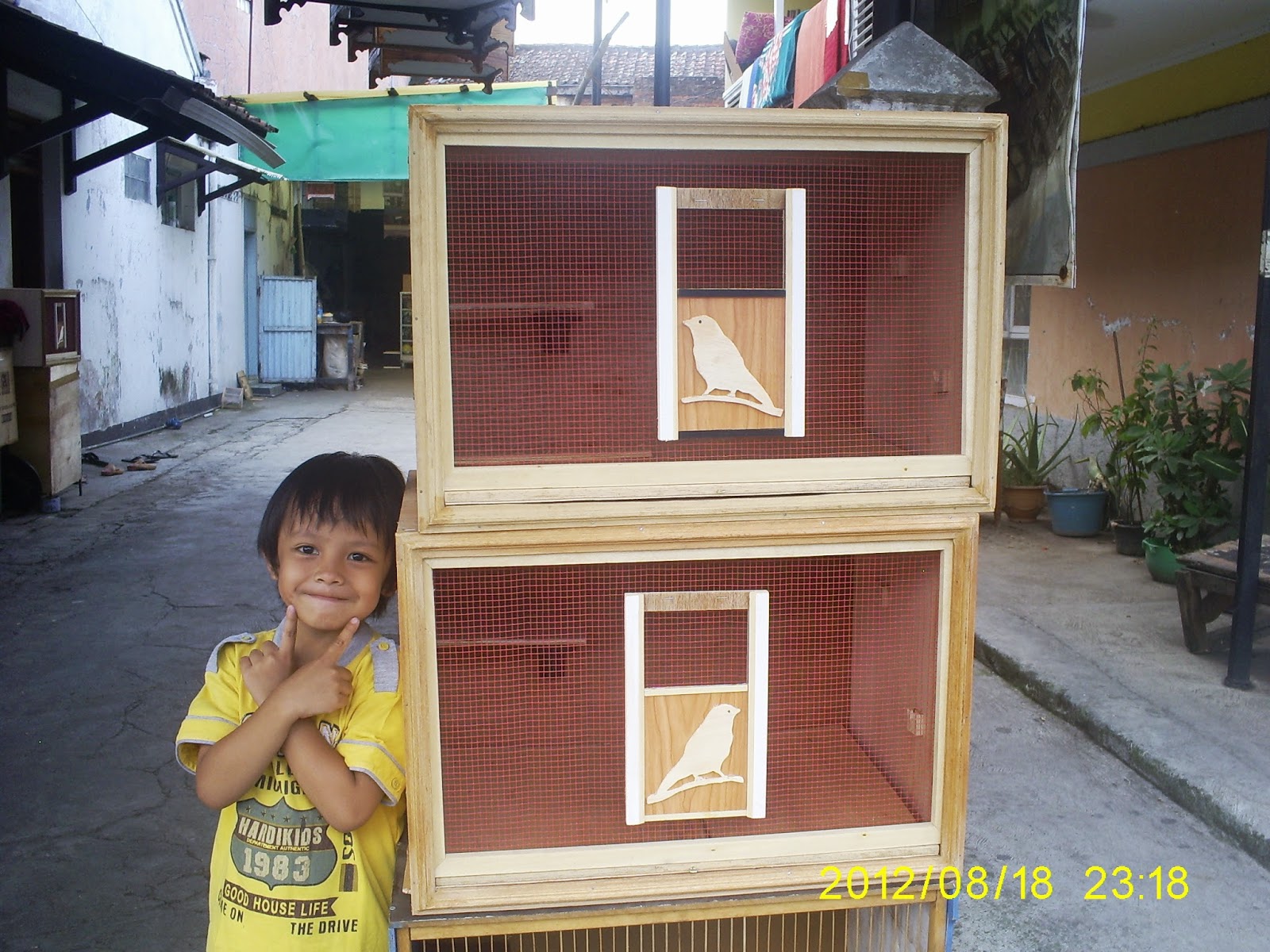 boks ternak kenari BOX JINJING BURUNG