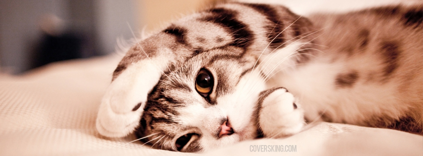 fb cover fb covers couple fb cover fb cover fb cover flower fb cover