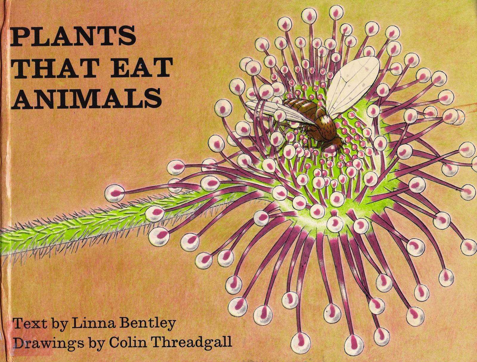 Little Library of Rescued Books Plants that Eat Animals by Linna