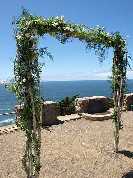 Birch Arch