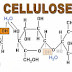 Double Cellulose