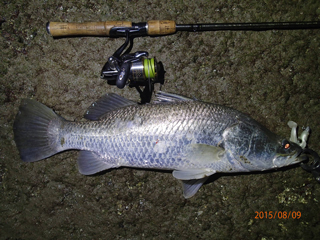 best barra rod and reel