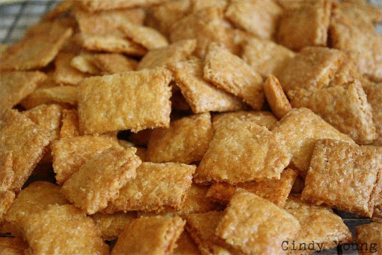 FarmgirlCyn 5 Ingredient Homemade CheezIts...