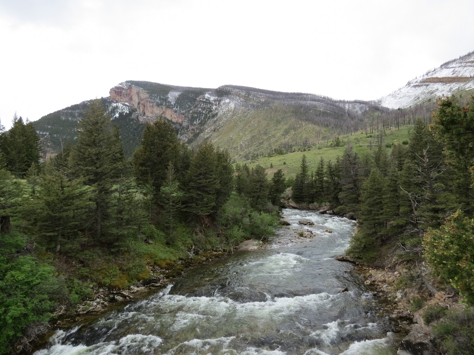 Where's Liz2012? Big Timber, Montana