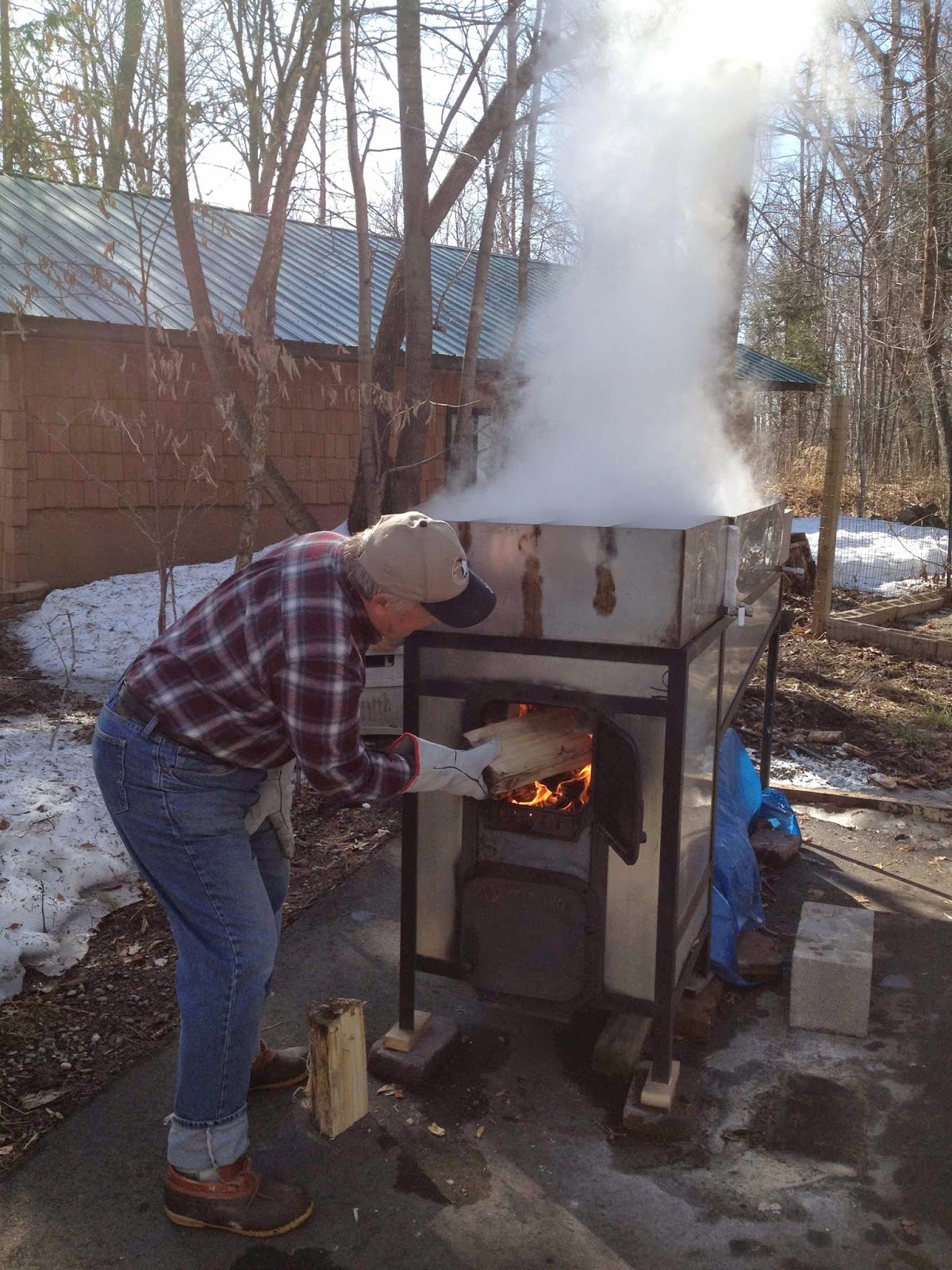 Ever Ready Maple Syrup