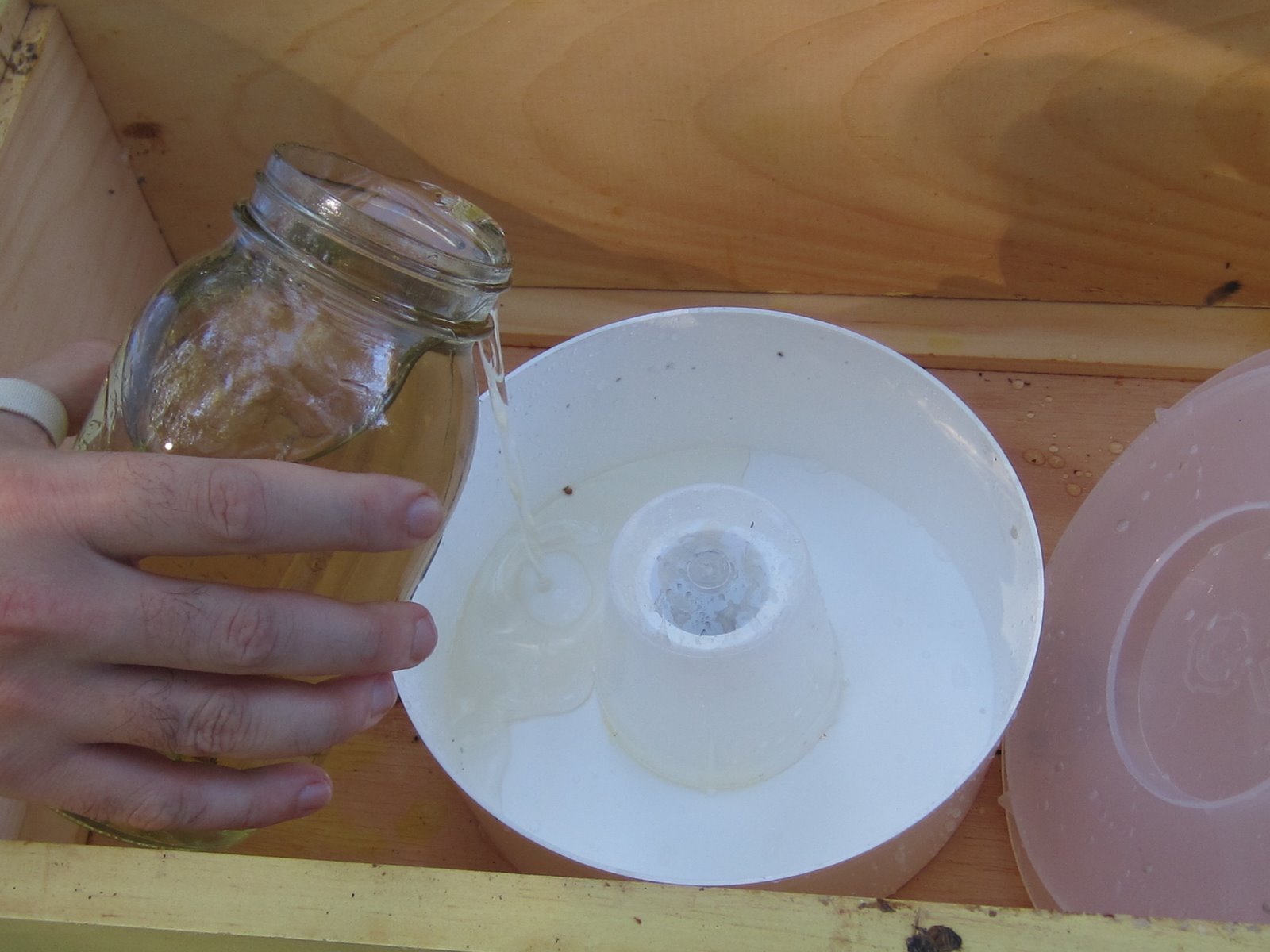 Linda's Bees Using the Rapid Feeder