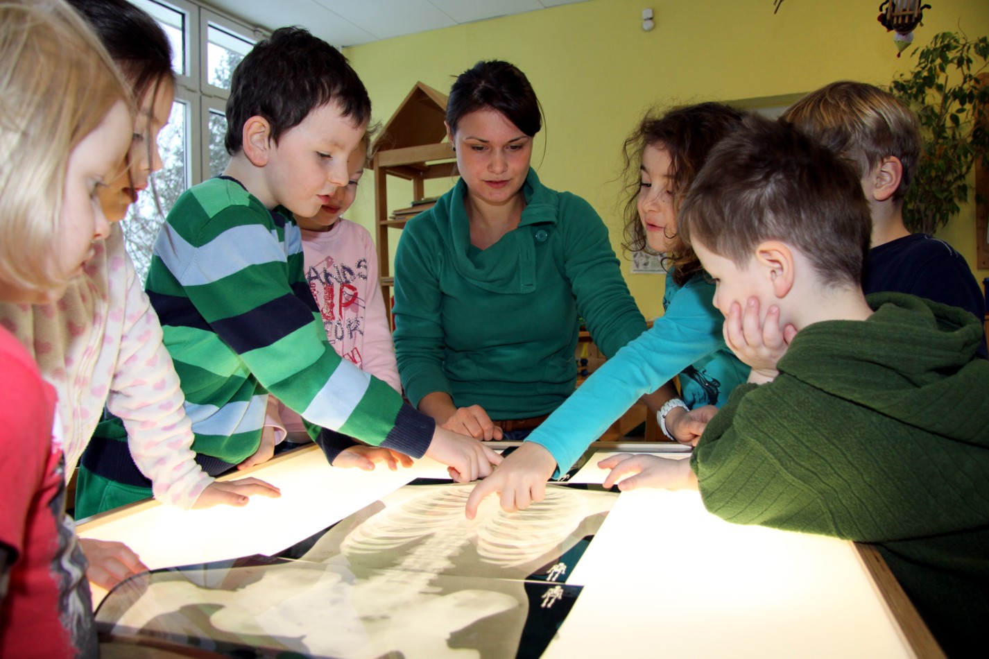 Storfaktor Festival 6 Zwickau Konzerte Treffen Dth Live