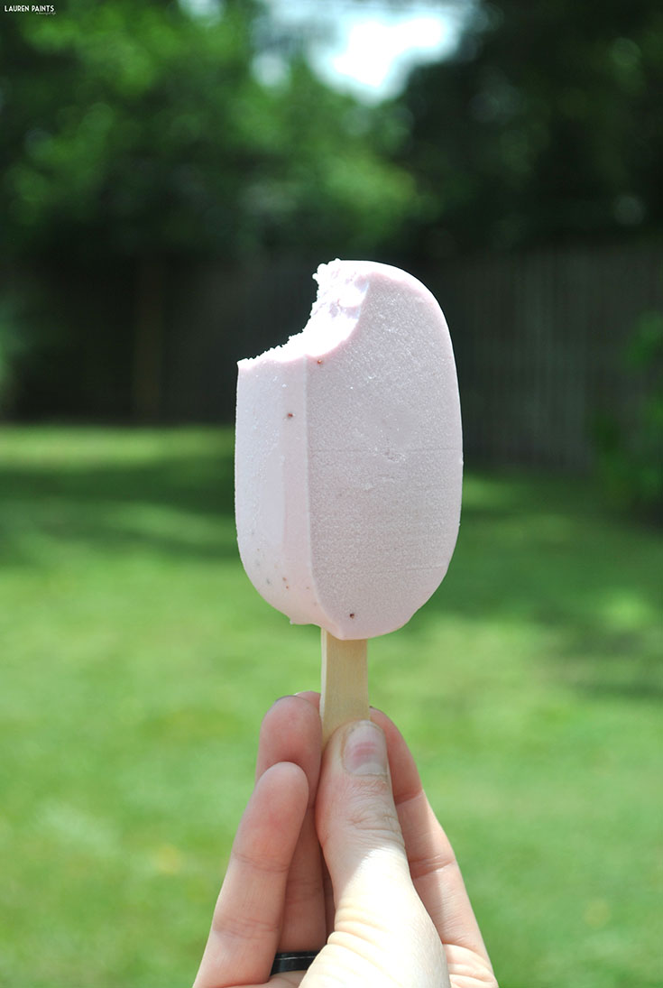 Summer Adventures + Tasty Outshine Bars Lauren Paints a beautiful life