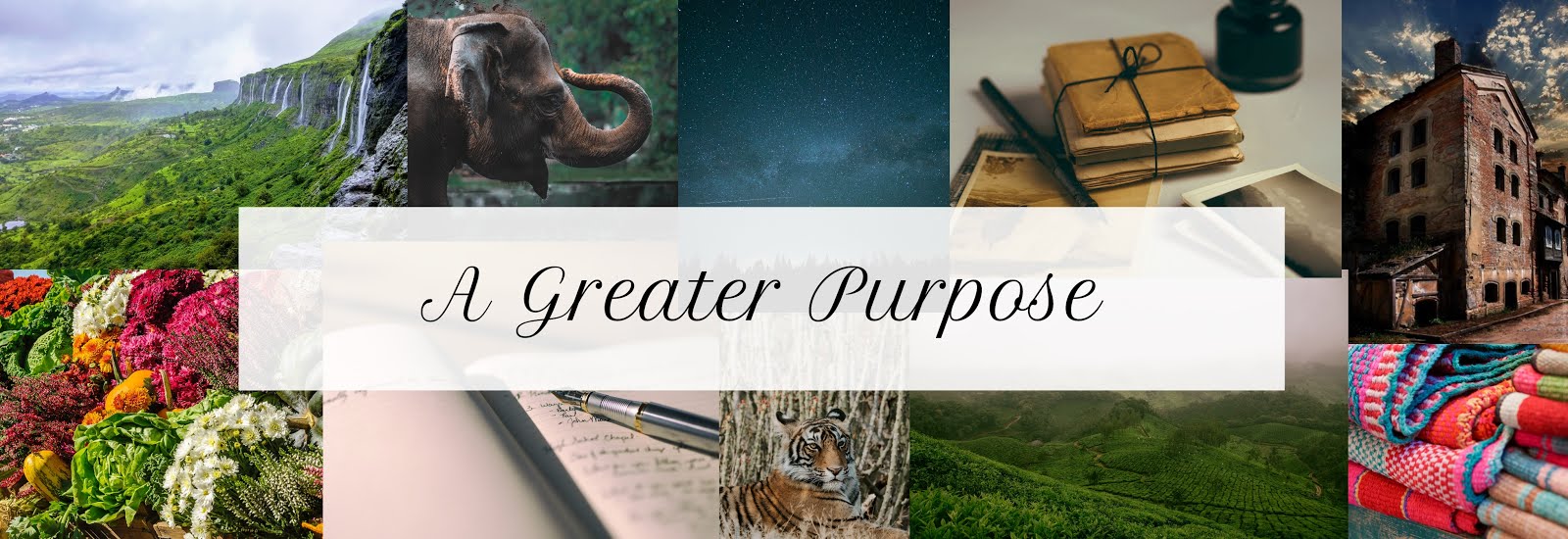 A Greater Purpose