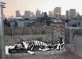download blek le rat for sale download blek le rat for sale