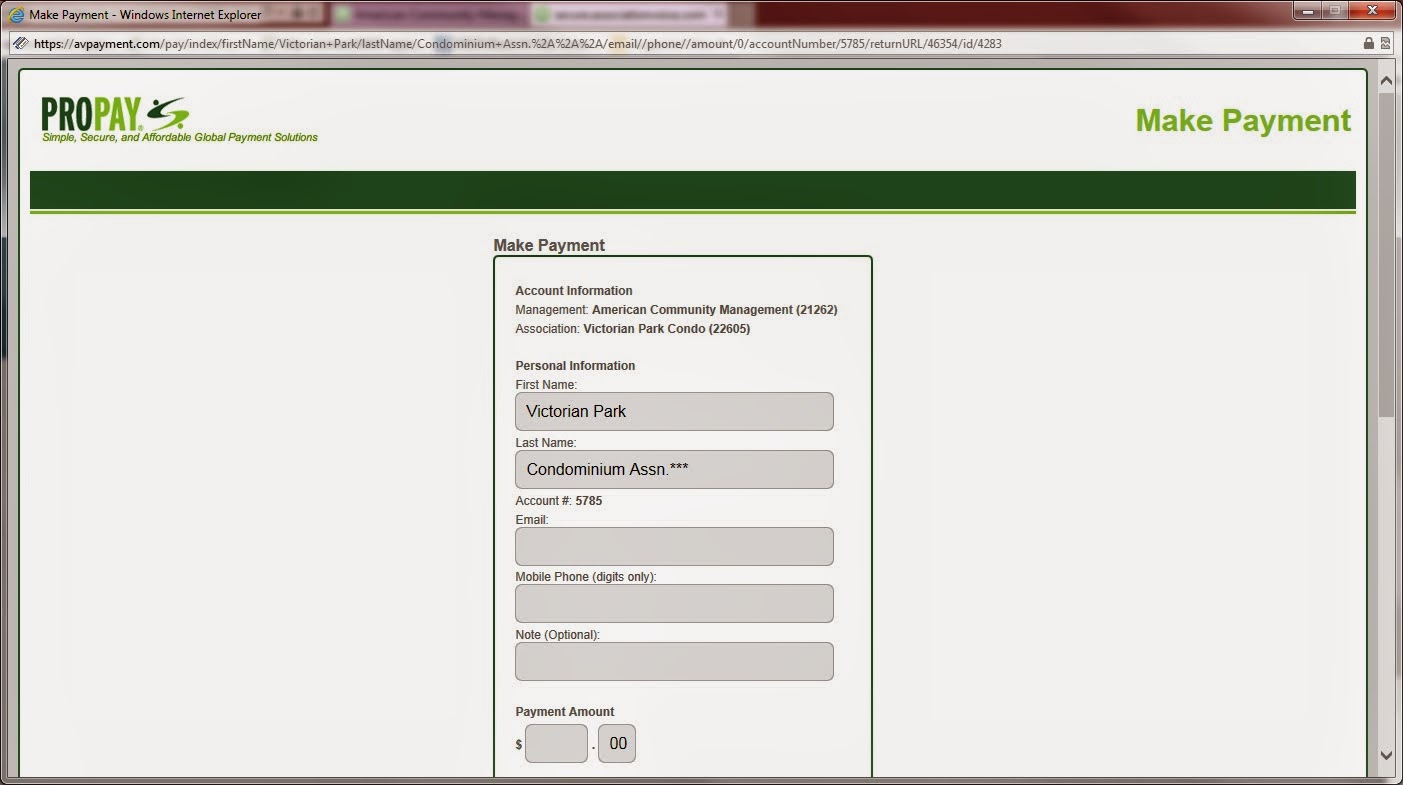 Online payment options for websites