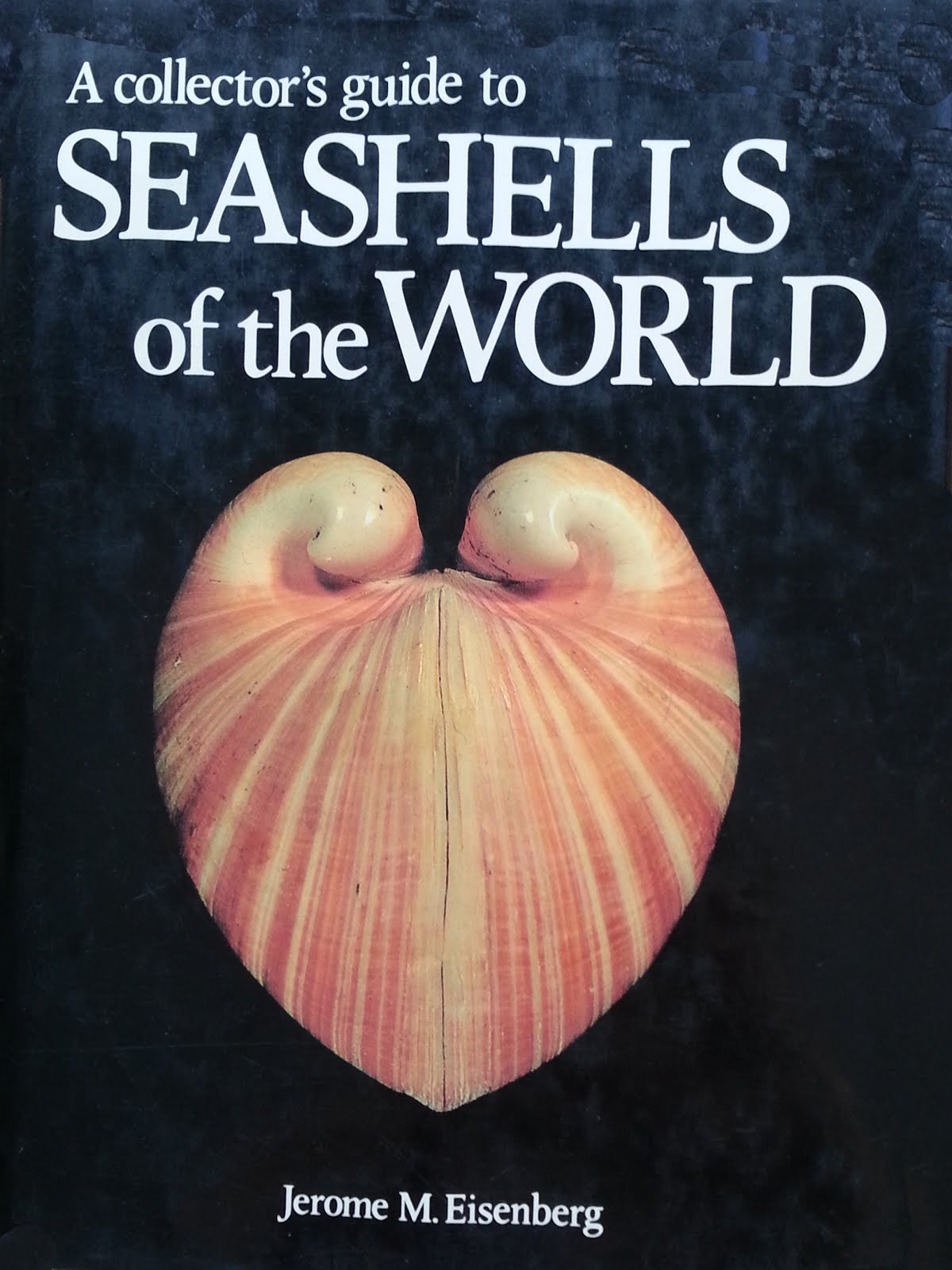 A Collector´s guide to SEASHELLS