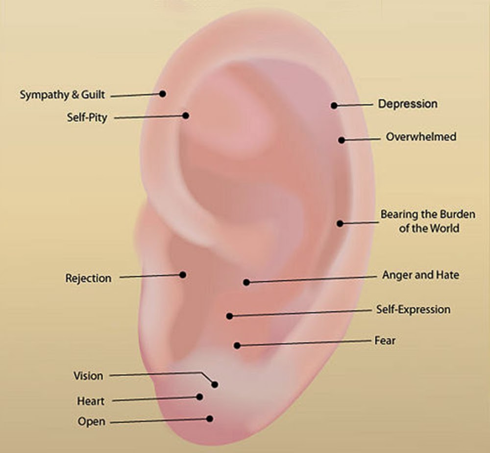 Ear Reflex Points Chart