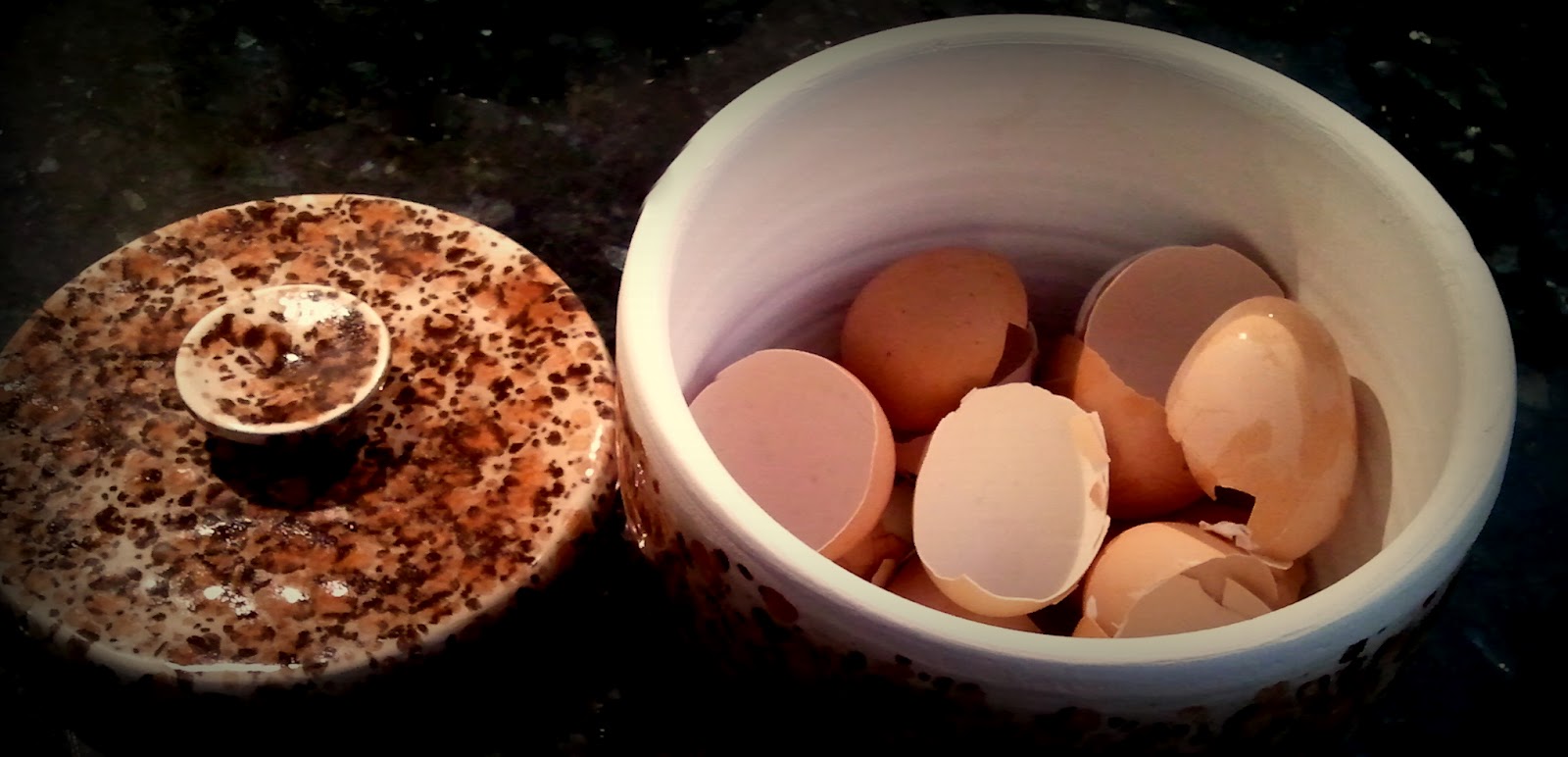 Fresh Eggs Daily® Crushing Eggshells as a Free Calcium Source for your