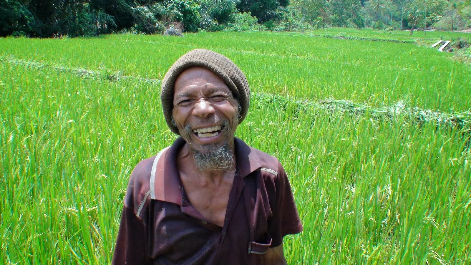Il travaillait dans la rizière