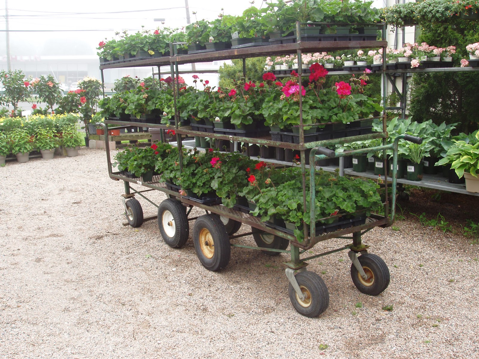 Home Place Shelley's Garden Center in Branford, CT