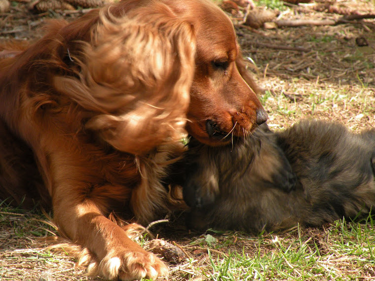 BANDIT et ELIOT