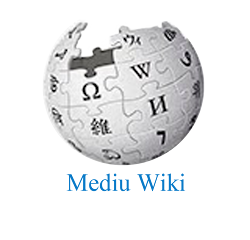 ويكيبيديا جامعة المدينة العالمية