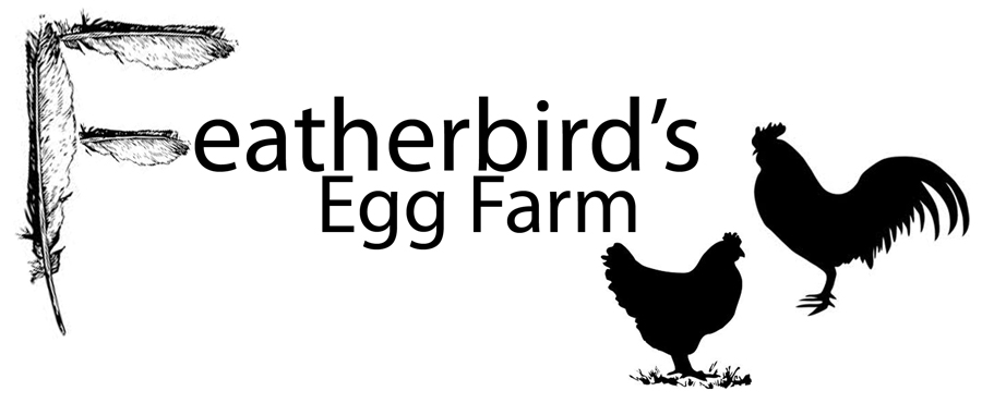 Feather Bird's Egg Farm