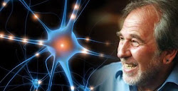 Dr. Bruce Lipton