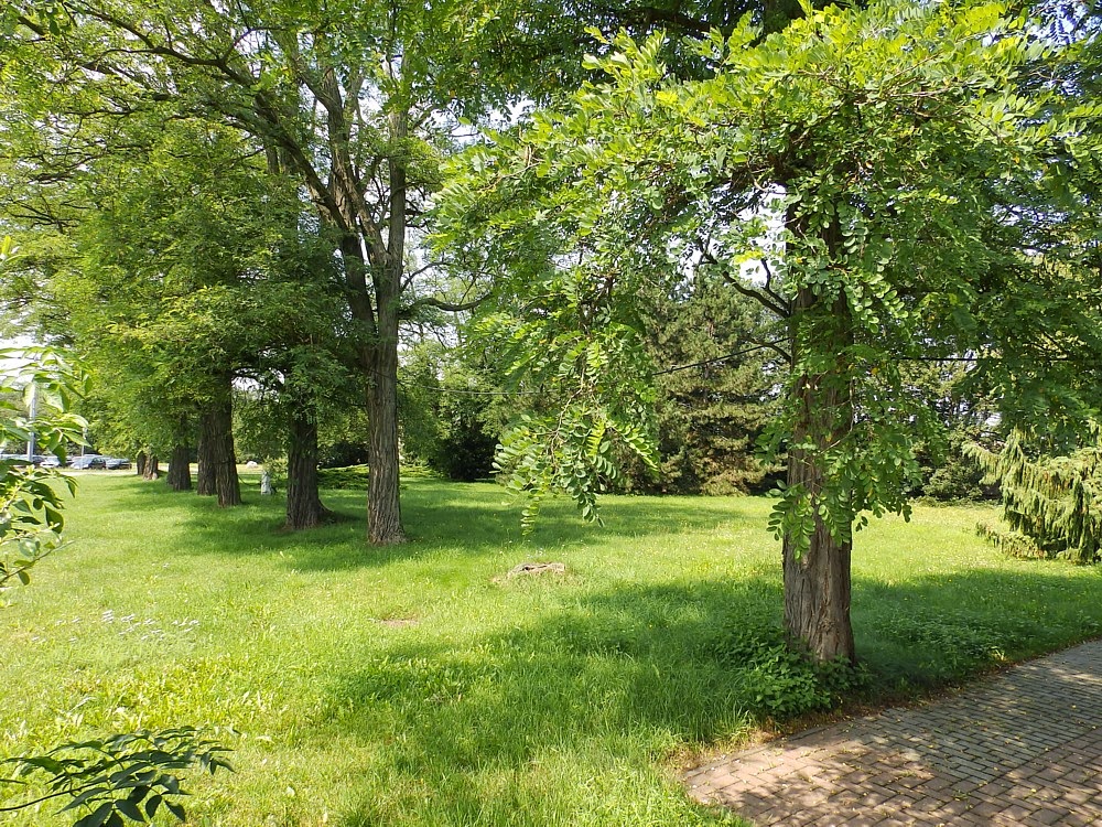 Erntekorb Vom Kunsthandwerkermarkt Altzella Bergblumengarten