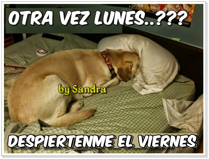 Afbeeldingsresultaat voor buen lunes con cafe