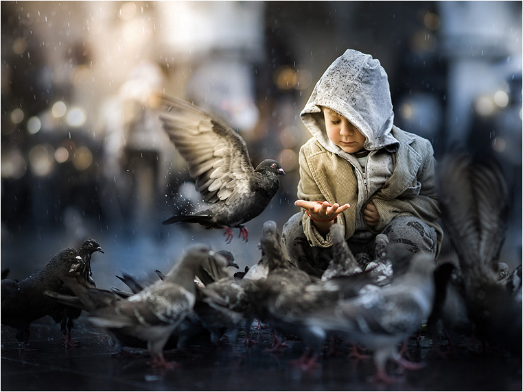 Emerging Photographers, Best Photo of the Day in Emphoka by Iwona Podlasinska Emerging Photographers, Best Photo of the Day in Emphoka by Iwona Podlasinska