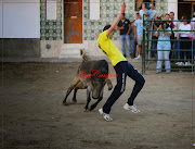 Fotos Montejuntos 2015