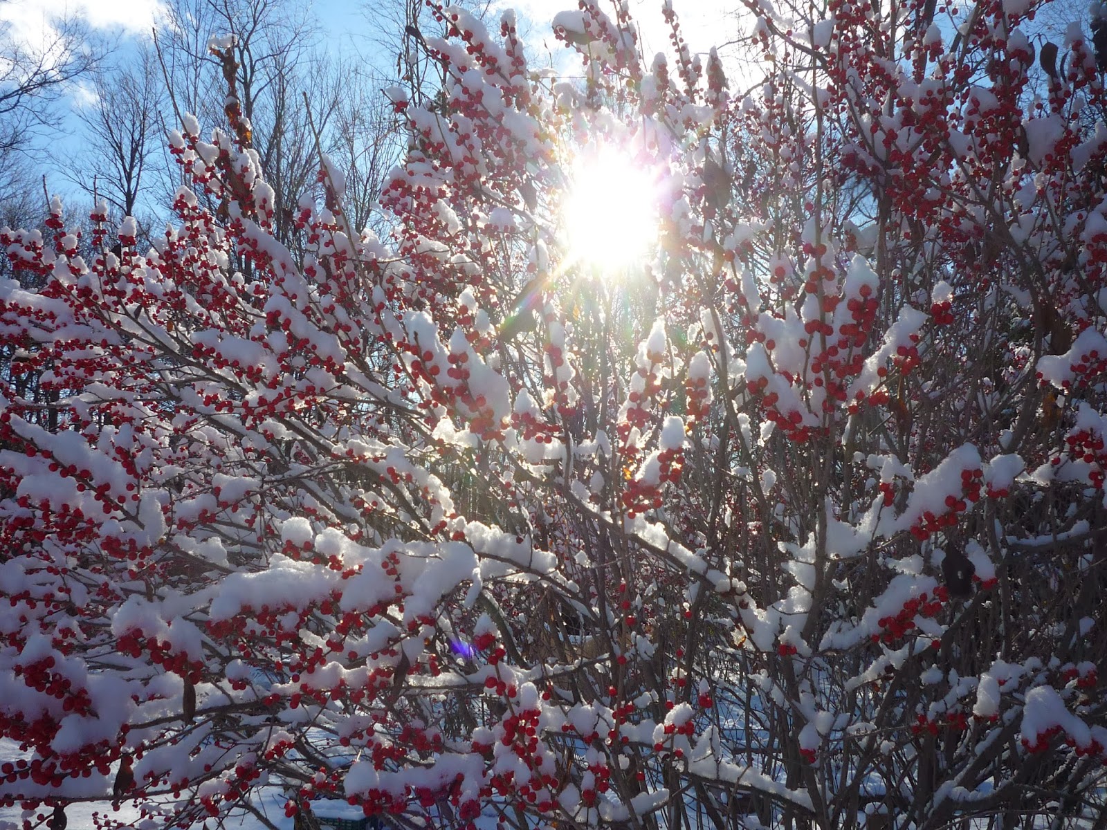 Vermont Weather First snow South Burlington, Vermont Photos and