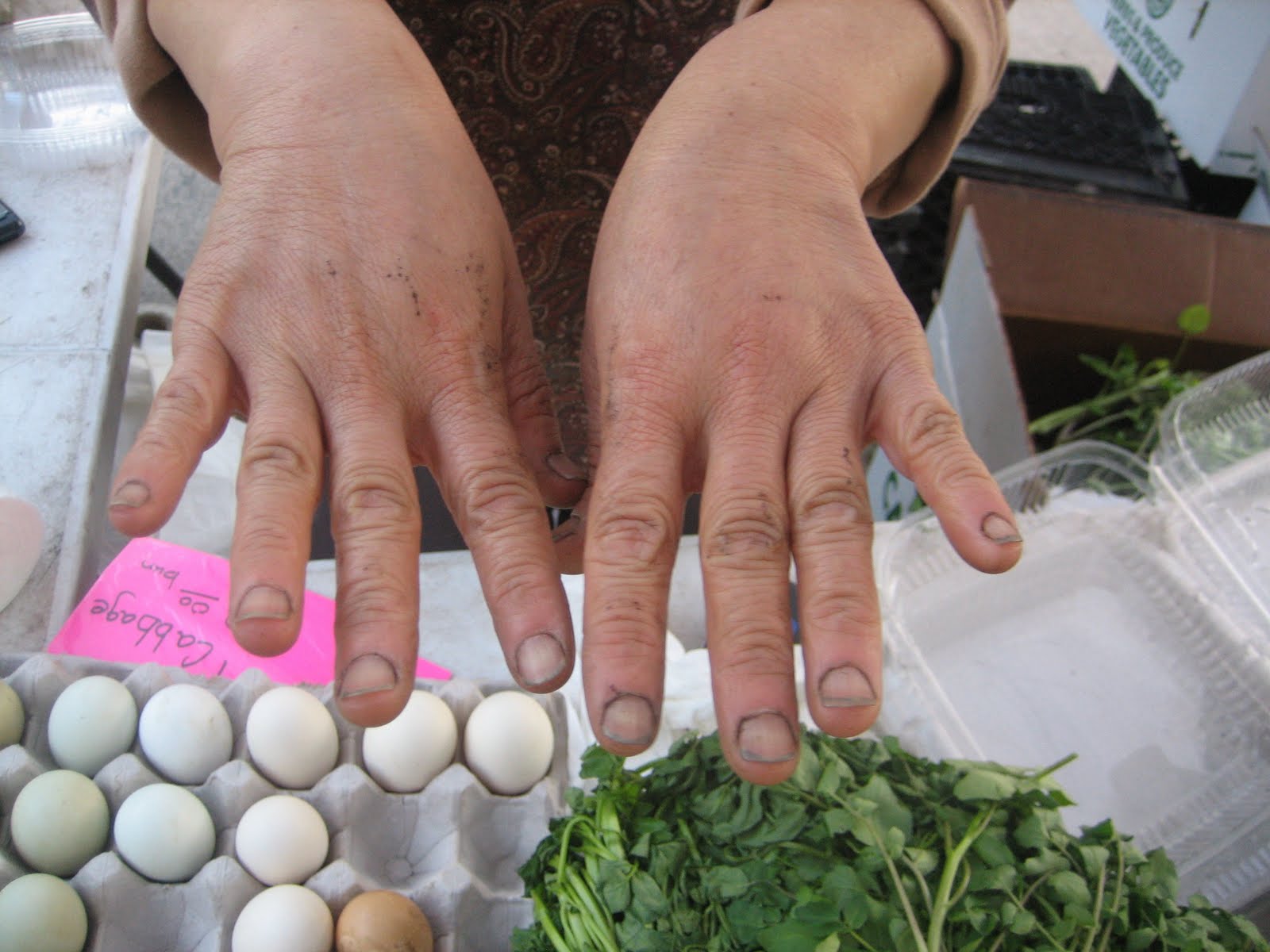 Have You Ever Picked A Carrot?: The Proof is In the Nails