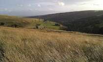 Yorkshire Moors