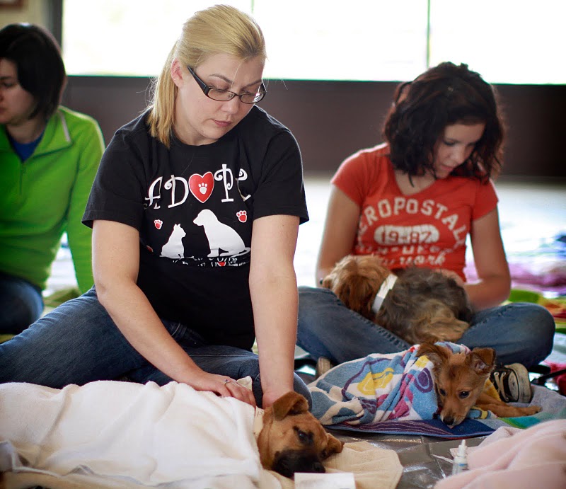 Friends of Powell County's Pets LowCost Spay & Neuter Clinic