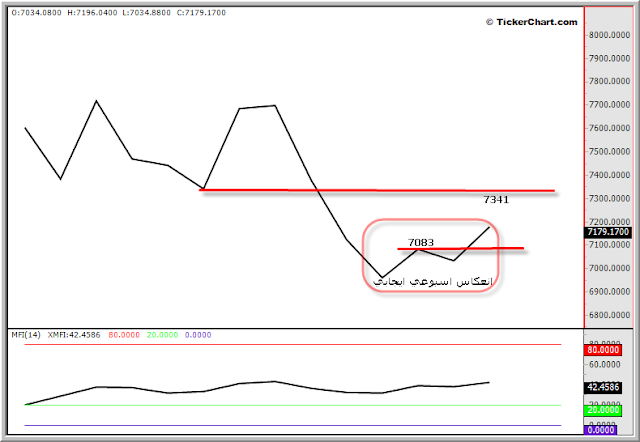 ������ ����� ������ ���� ���� ����� ������