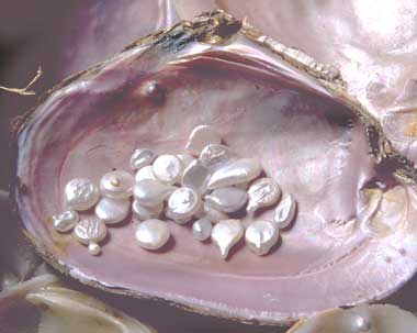 Dec directory cast cast pearls , is meaning Neither cast not offered to theyvepearls before offer your pearlspearls before Origin of theyvepearls before