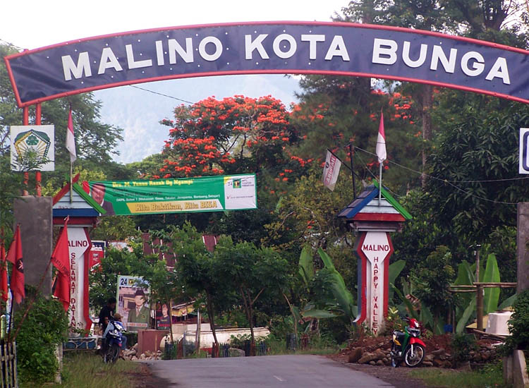 Malino Favorite Tourist Attractions in Makassar Galery