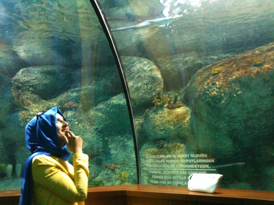 sirince tatlar natavega tunel akvaryum