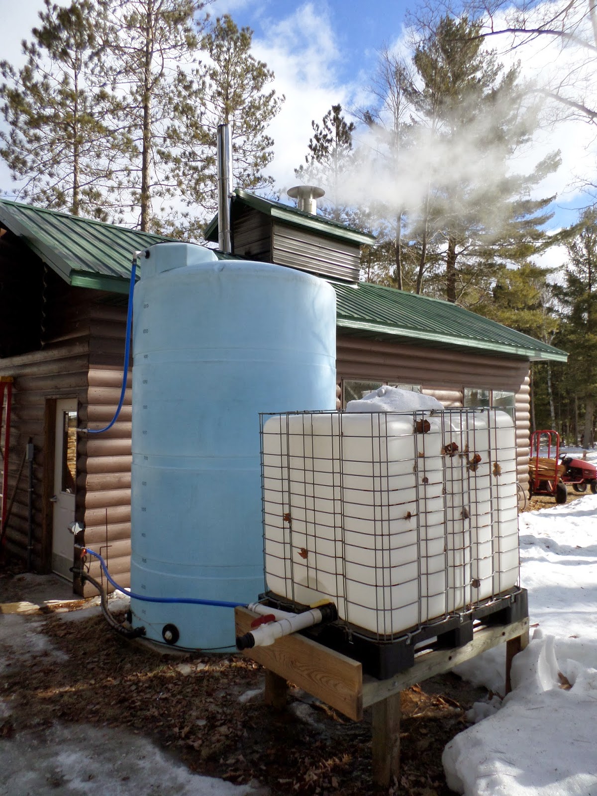 Field Trip It's Maple Syrup Time Turnips 2 Tangerines