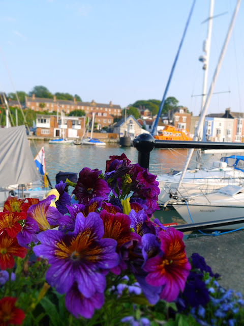 Flowers at the Harbourside in Weymouth