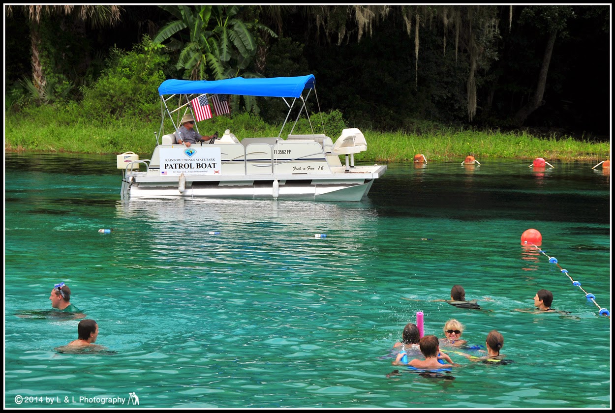 Ocala, Central Florida & Beyond Rainbow Springs Swimming with Gators!
