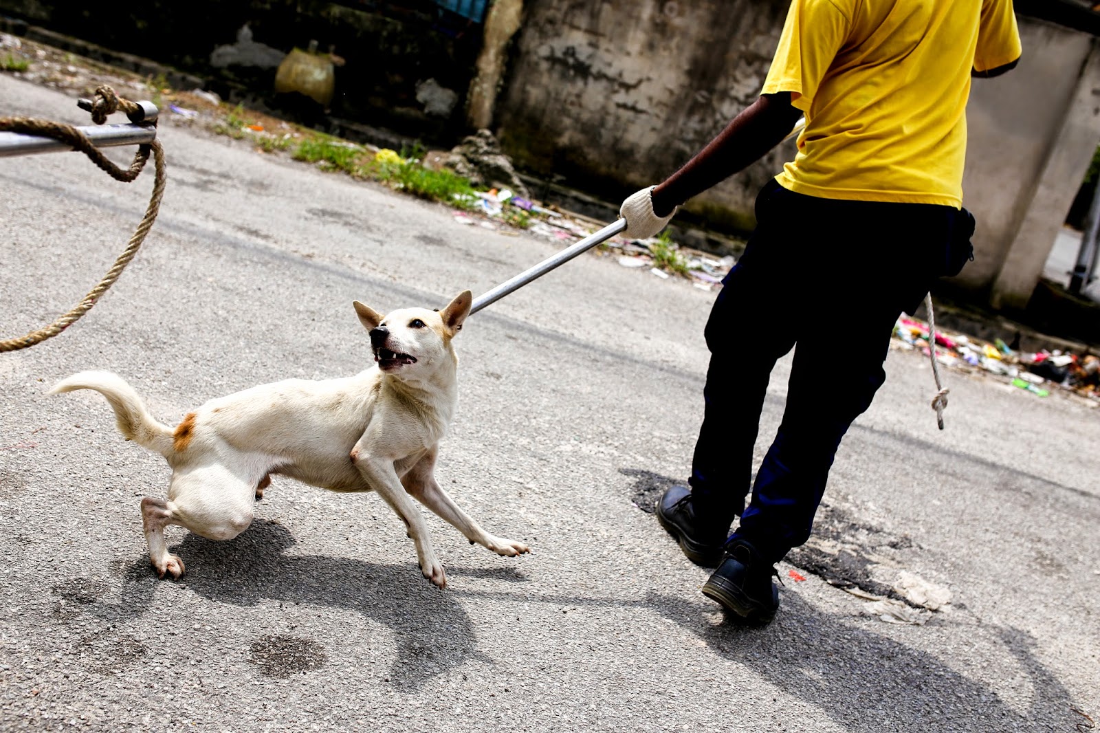 A Walk Of A Man To Be All Dogs Go To Heaven