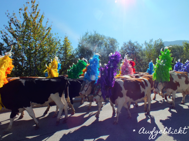 Traditioneller Reither Bauernmarkt Mit Almabtrieb Und Kirchtag