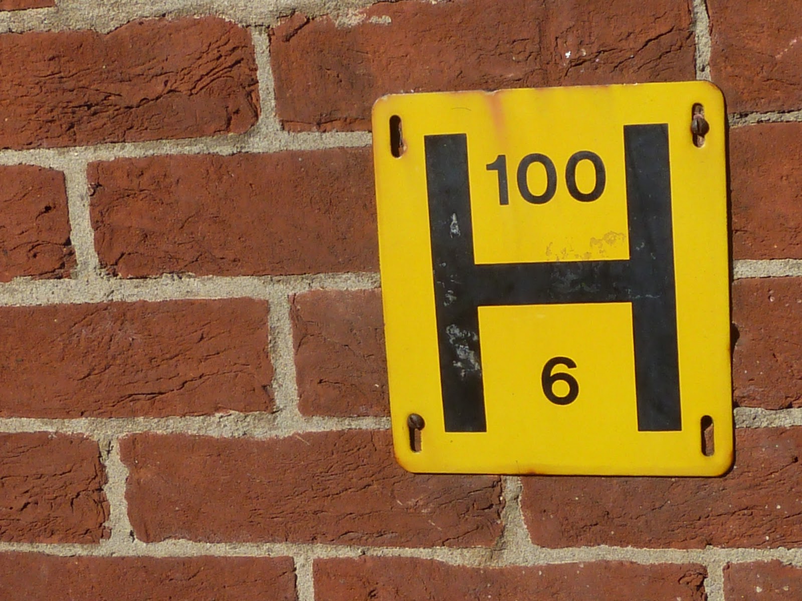 Bishty and H for hat