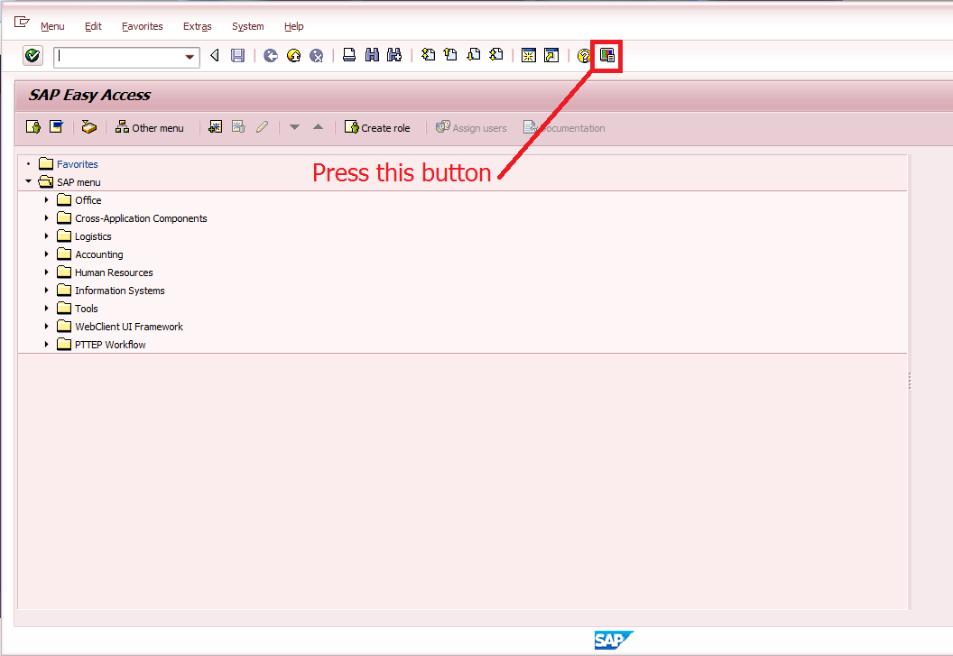 Font Settings in SAP