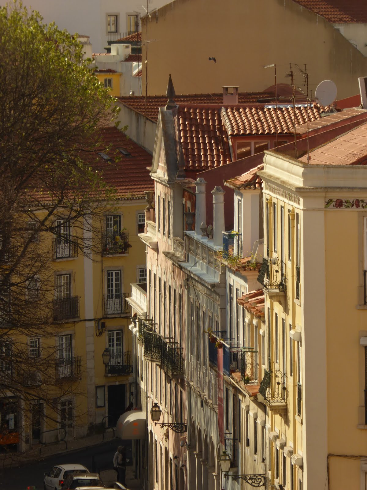 Lisbon Coulisse