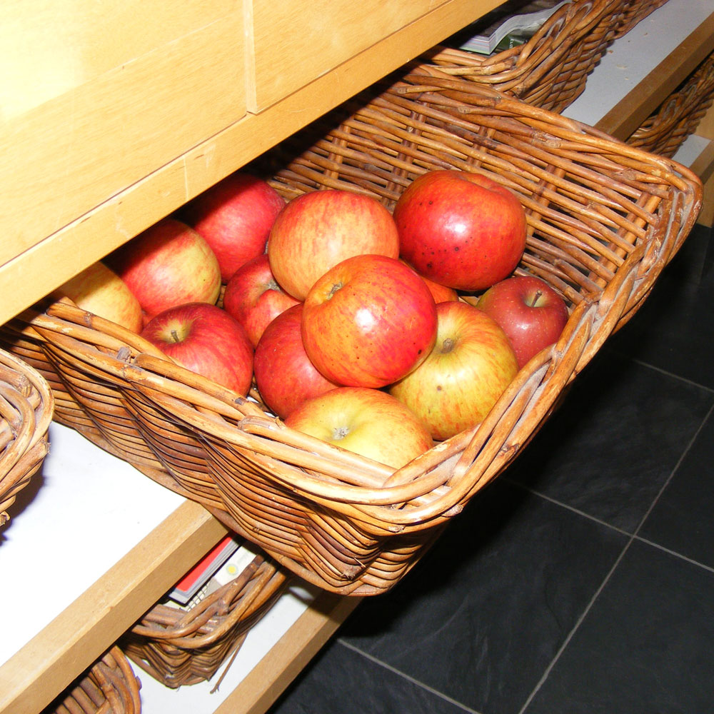 Sooz Jewels How to grow an apple tree from a pip