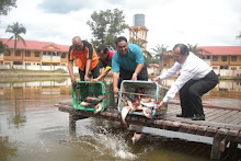 Lokasi Pertandingan