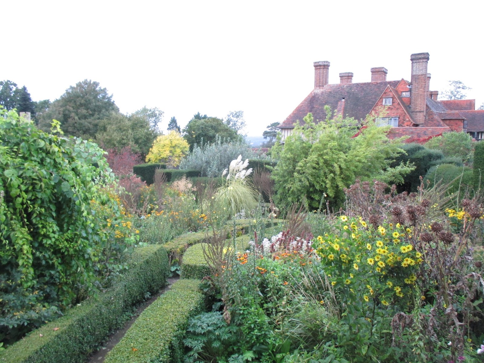 Astrid S Garden Design Viburnum