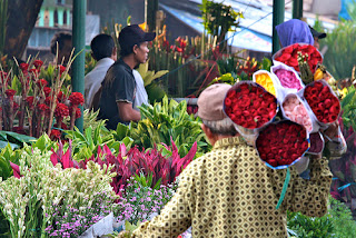 indonesian tourism indonesian tourism
