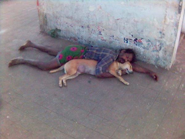 PICS%2BOF%2BMAN%2BSLEEPING%2BWITH%2BDOG.